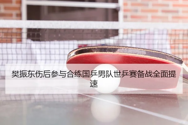 樊振东伤后参与合练国乒男队世乒赛备战全面提速