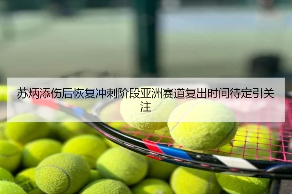 苏炳添伤后恢复冲刺阶段亚洲赛道复出时间待定引关注