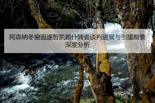 阿森纳冬窗追逐哲凯赖什转会谈判进展与引援前景深度分析